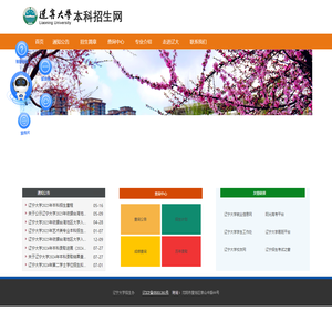 辽宁大学本科招生网