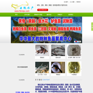 湖北宜昌云帆水产特种鱼繁育基地—湖北泥鳅苗|加州鲈鱼苗|黄骨(黄颡)鱼苗|湖北台湾泥鳅苗|杂交黄骨鱼水花|杂交黄颡鱼水花|全雄黄骨鱼水花|全雄黄颡鱼水花
