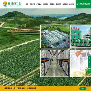 福建安田农业科技有限公司-蔬菜批发销售、保鲜加工