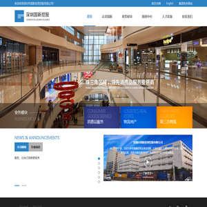 深圳市国新投资控股有限公司