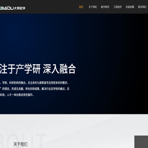 大有软件技术(南京) 股份有限公司