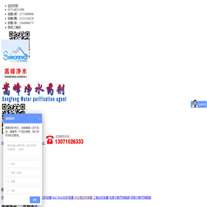 净水药剂_水处理絮凝剂_反渗透_PAC|PAM_循环水自动加药装置―嵩峰净水厂家