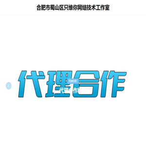 合肥市蜀山区只维你网络技术工作室