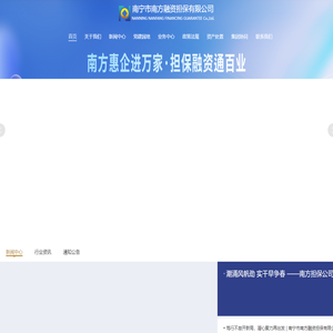 南宁市南方融资担保有限公司