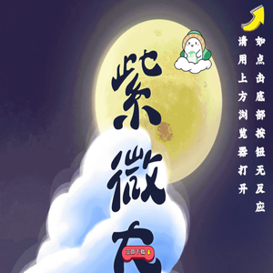 紫微大师