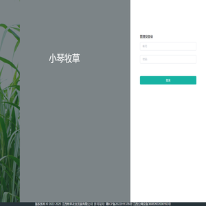 小琴牧草