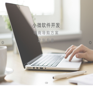 小微软件开发