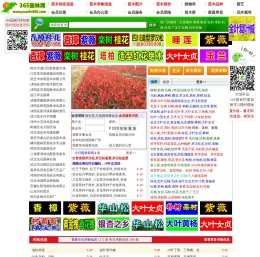 365园林网-苗木求购信息|苗木价格|绿化苗木供应|苗木网|中华园林行业网站