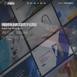 长春网站建设-微信小程序定制-长春网站优化排名-庞智科技