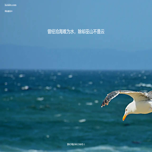 海鸥飞啊飞
