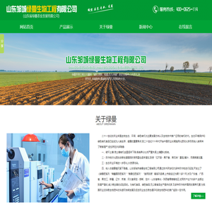 果蔬黄化综合治理|山东壳寡糖厂家|山东黄腐酸公司|山东生物有机肥|济宁水溶肥厂家|山东冲施肥批发|山东邹城绿曼生物工程有限公司