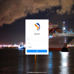 清关系统