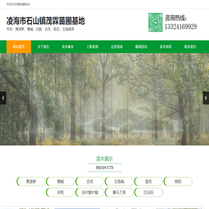 凌海茂霖苗圃基地,凌海苗圃,锦州苗圃,凌海绿化苗木,锦州绿化苗木