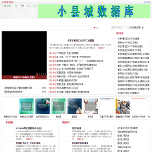 县域网