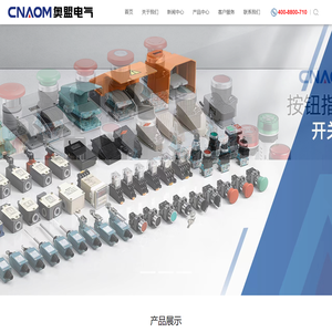 奥盟电气集团有限公司