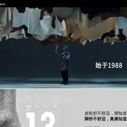 浙江奥康鞋业股份有限公司