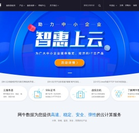 网牛数据 - 企业级云服务器、虚拟主机、显卡服务器、BGP服务器租用托管服务提供商