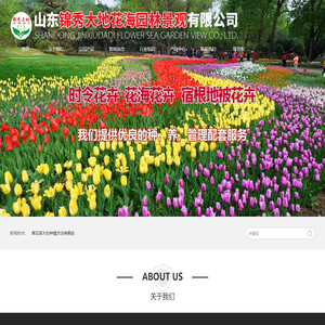 花海建设_花海苗木_马鞭草苗_花海专用花卉穴盘苗_菊花租摆_山东锦秀大地花海园林景观有限公司