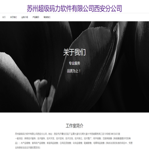 苏州超级码力软件有限公司西安分公司