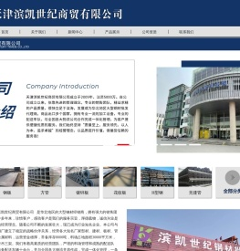 天津滨凯世纪商贸有限公司