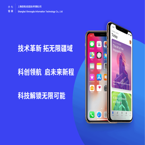 上海信荣达信息技术有限公司