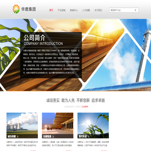 华鹿 内蒙古华鹿能源发展（集团）有限公司