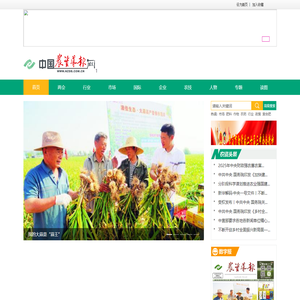 首页--中国农资导报网