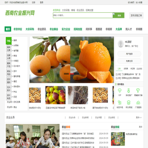 西南农业振兴网