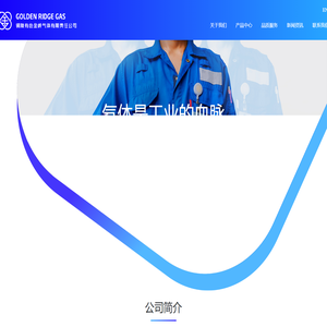 铜陵有色金岭气体