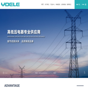 浙江译得电气有限公司