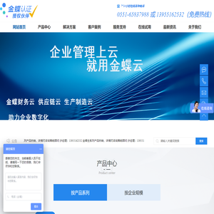 安徽金胜信息科技有限公司