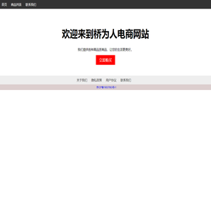 电商网站