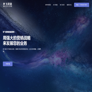洛阳品牌营销咨询-网络营销推广培训-妙飞销能