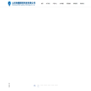 山东智慧照明科技有限公司