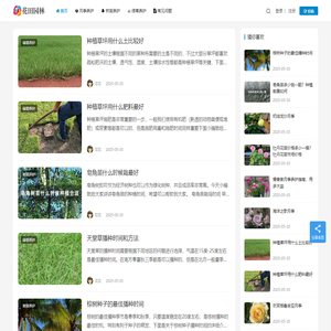 月季苗木批发基地_园林绿化苗木价格_花田园林