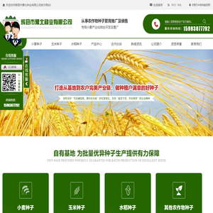 河南小麦玉米种子厂家_小麦玉米种子批发_河南水稻种子价格-辉县市豫北种业