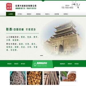 陇西兴中药坊-陇西黄芪_陇西党参_陇西黄芩_陇西柴胡_陇西板蓝根_陇西红芪_陇西防风—批发零售