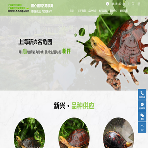 百色龟_金头闭壳龟_名龟养殖-上海新兴珍禽养殖场