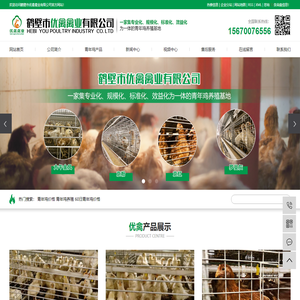 青年鸡价格_青年鸡养殖_60日青年鸡价格-鹤壁市优禽禽业有限公司