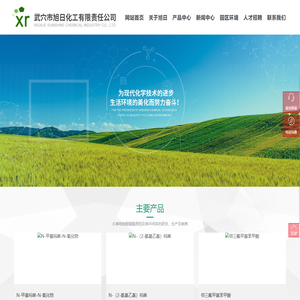 武穴市旭日化工有限责任公司_化工原料