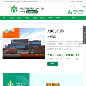 江西海瑞天然植物有限公司 | 香料油 | 挥发油 | 天然植物油