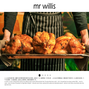 mr willis