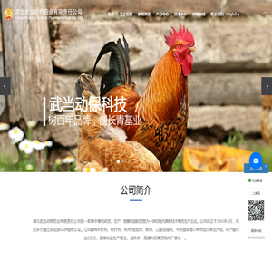 兽药生产_动物用药_养殖用药-湖北武当动物药业有限责任公司