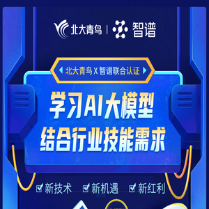 AI大模型应用开发