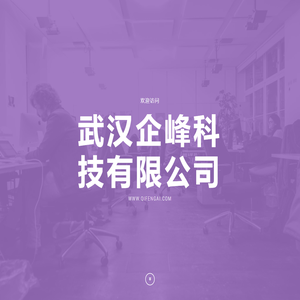 武汉企峰科技有限公司