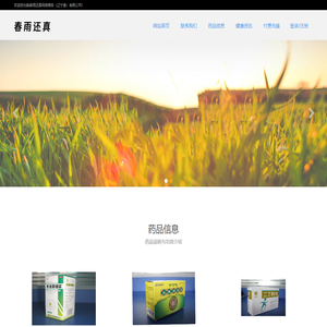 春雨还真网络商务（辽宁省）有限公司