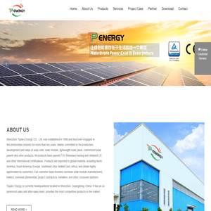 Shenzhen Topsky Energy CO., Ltd. _Topsky Solar_solar panel
