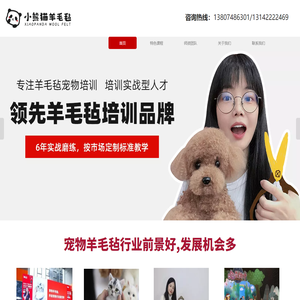 小熊猫羊毛毡- 宠物羊毛毡培训机构