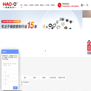 耐高温密封圈,耐低温密封圈,O型密封圈-豪欧密封技术有限公司