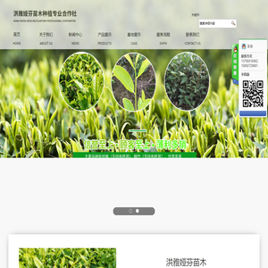 洪雅娅芬苗木种植专业合作社